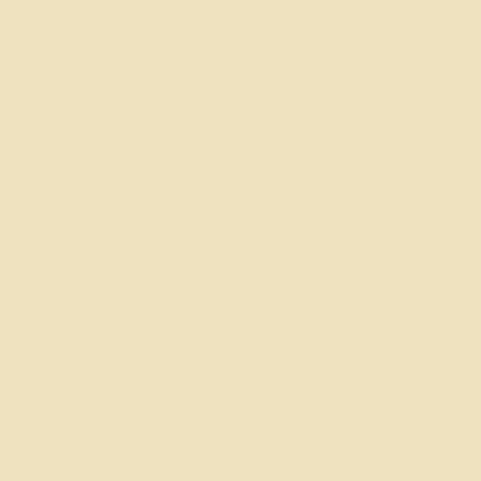 Cream Y34 swatch