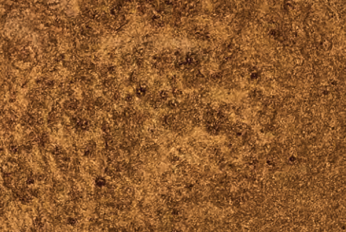 Coffee Club swatch