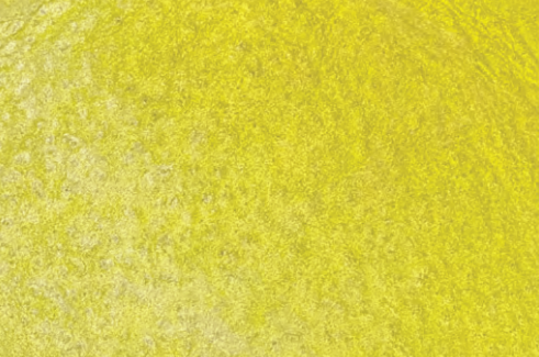 Dusky Citrus swatch