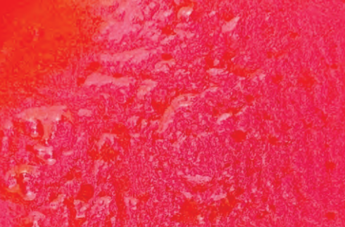Flame Red swatch