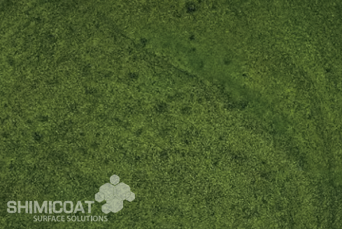 Forest Green swatch