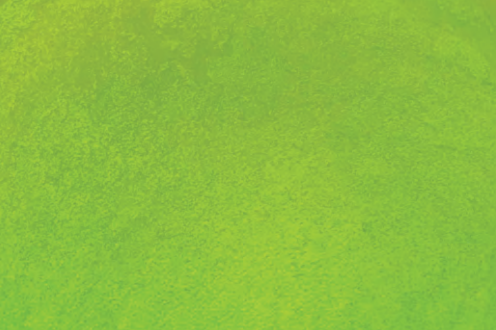 Grass Green swatch