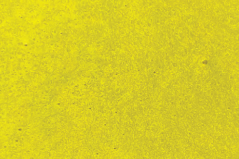Metallic Yellow swatch