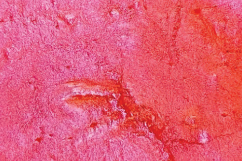 Pink Perfect swatch