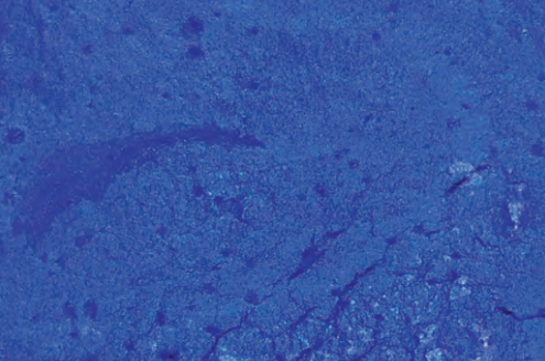 Royal Blue swatch