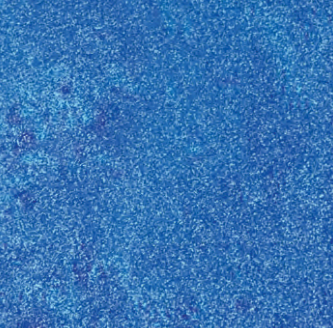 Teal swatch