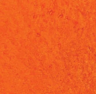 Wild Orange swatch